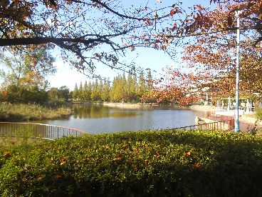 ラ フォート城北公園 周辺画像8