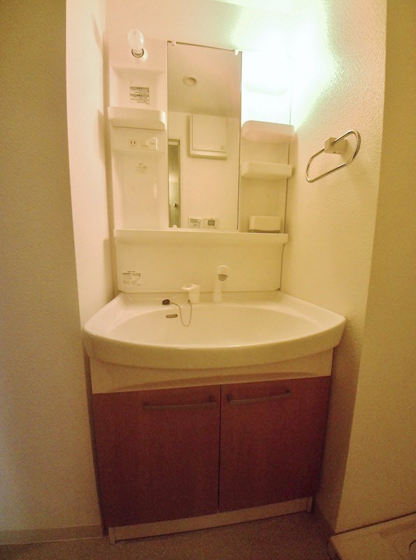 デル スール ラ ローザ その他2