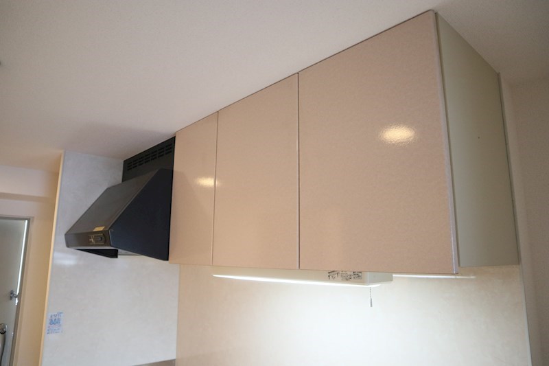 ﾒﾙｳﾞｪｰﾕ その他8