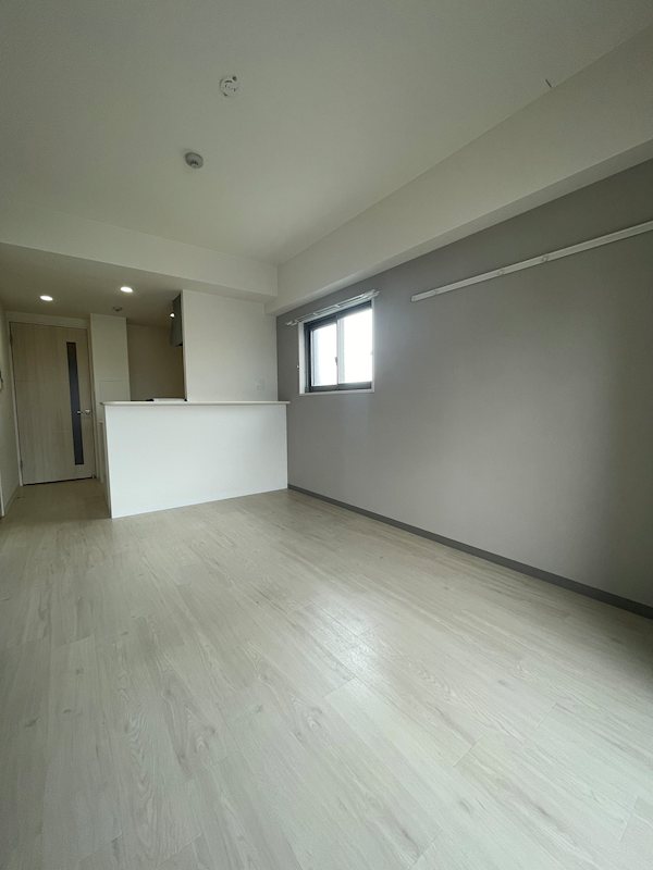 ﾙｱﾅ北梅田 その他15