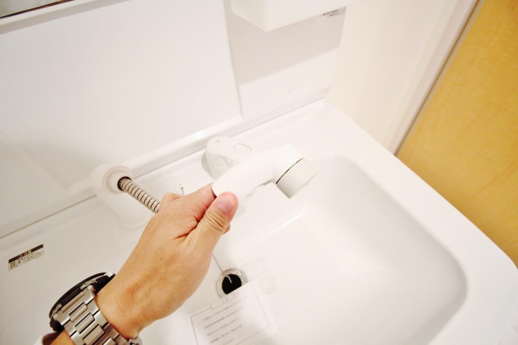 レスポワール エフ その他8