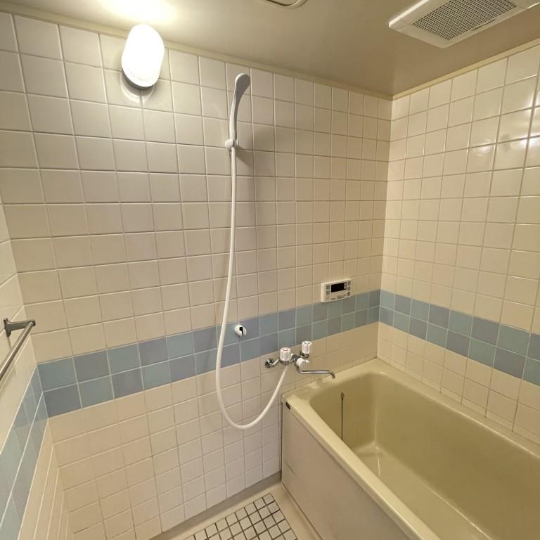 セイワパレス森ノ宮南 風呂画像