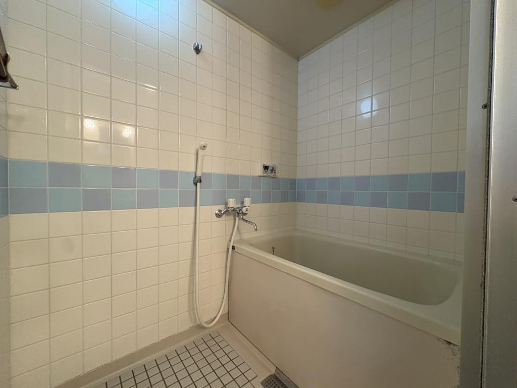 セイワパレス森ノ宮南 風呂画像