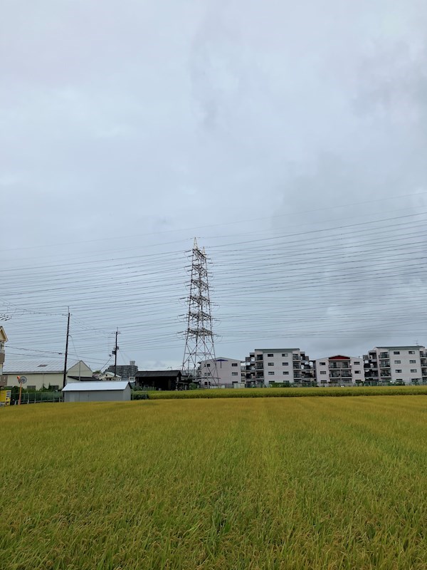 ミネアポリス その他5