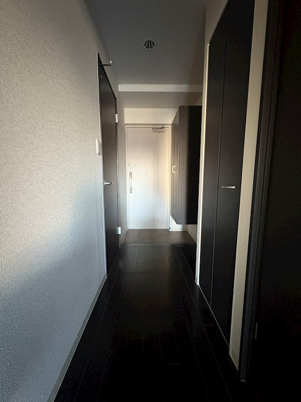 T.Y&#22825;&#20845; &#12381;&#12398;&#20182;7