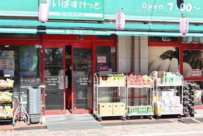 シルベーヌ池上 周辺画像3