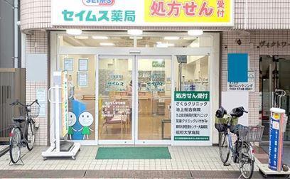 シルベーヌ池上 周辺画像4