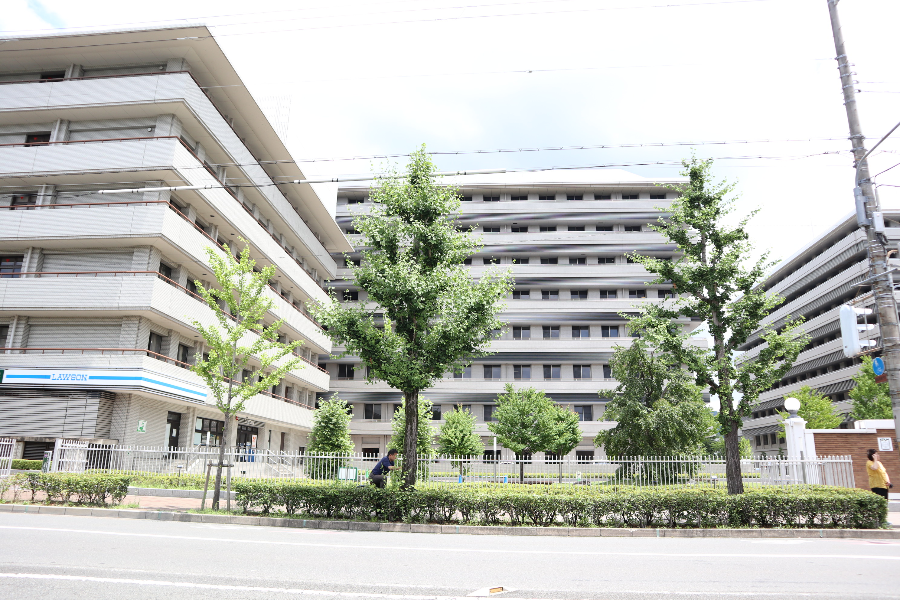 ドルフ聖護院 周辺画像5