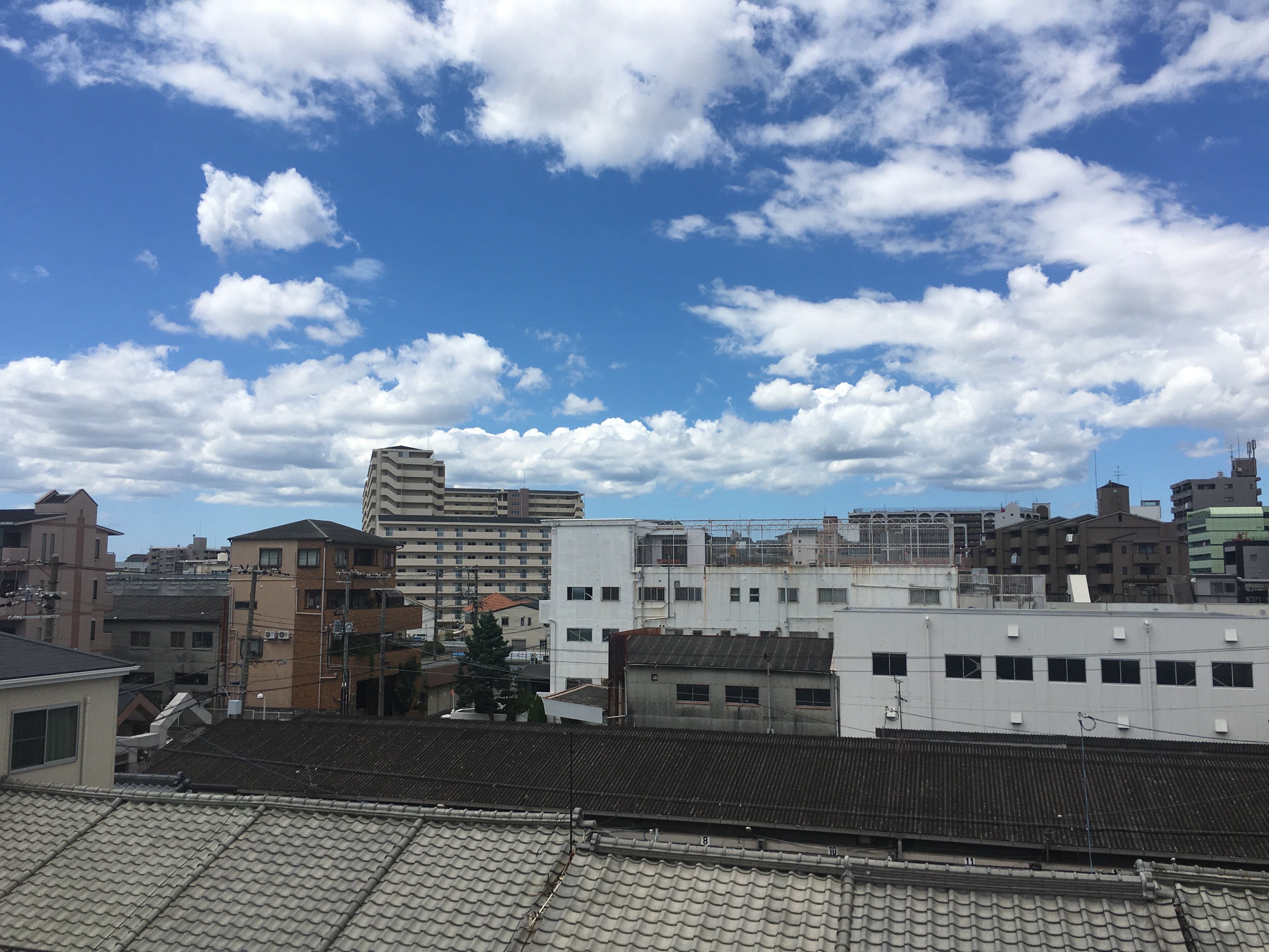 プレーヌうりわり その他6