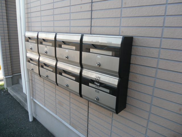 セレッソ八木 その他11