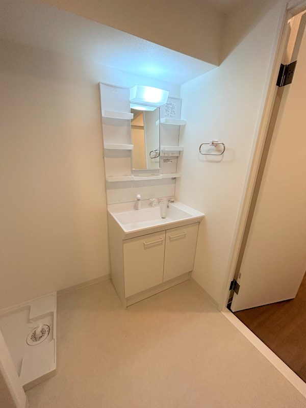 ルビアス上小阪 その他1