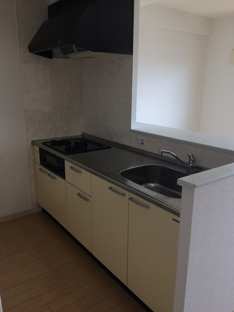 パレスマイセン キッチン