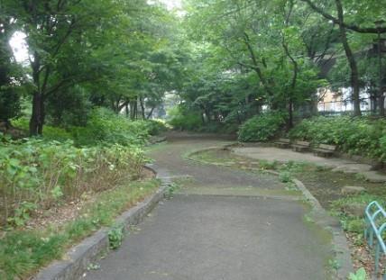 クオーレ エフ 周辺画像6