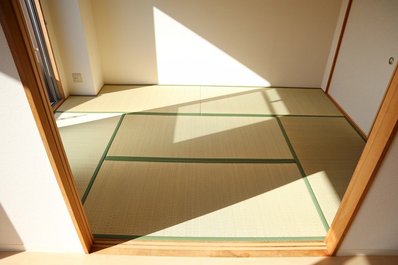 サウスシサム その他35