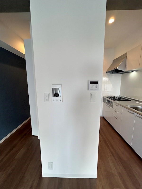 ルビアス上小阪 その他4