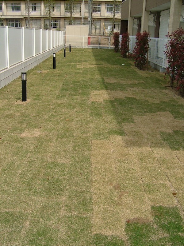 コンフォート111 その他外観1