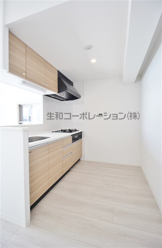 ステラマリス その他12