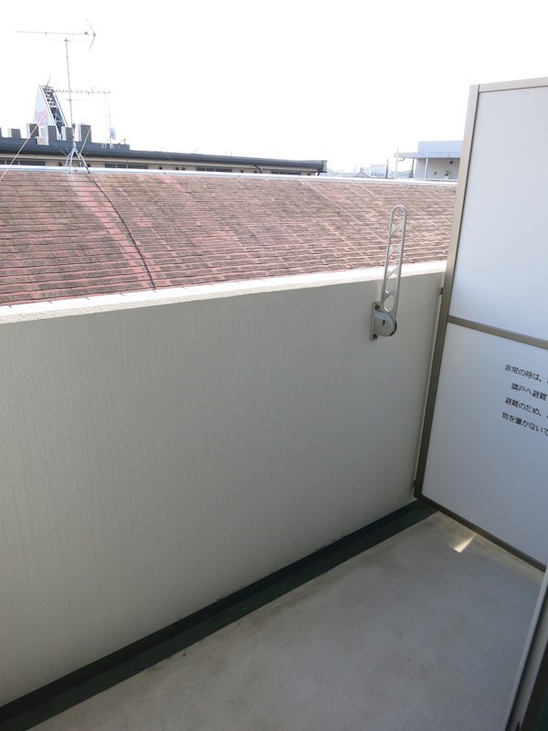 ピーノ・トロンコ その他6