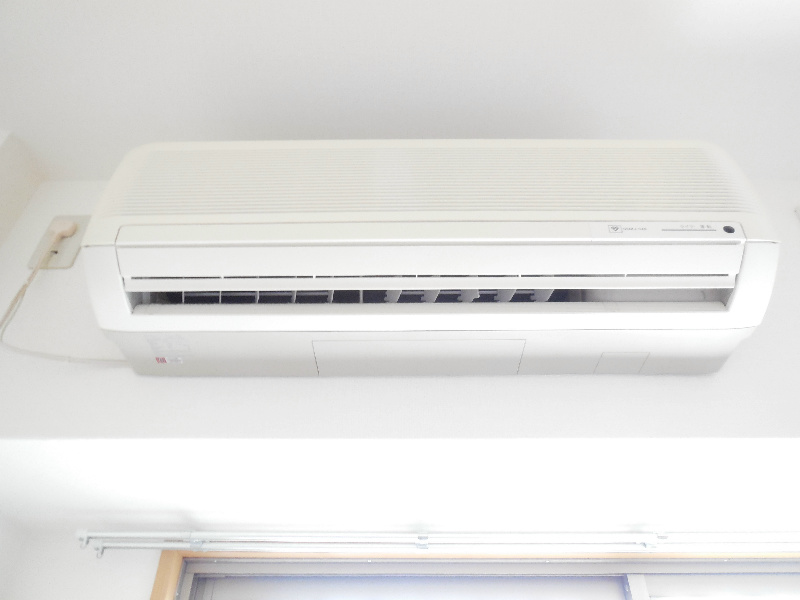 エバーグレイス その他5