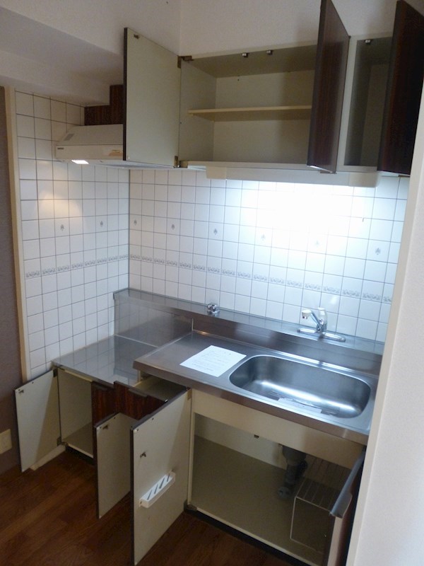 シャルマン・シェソワ その他10