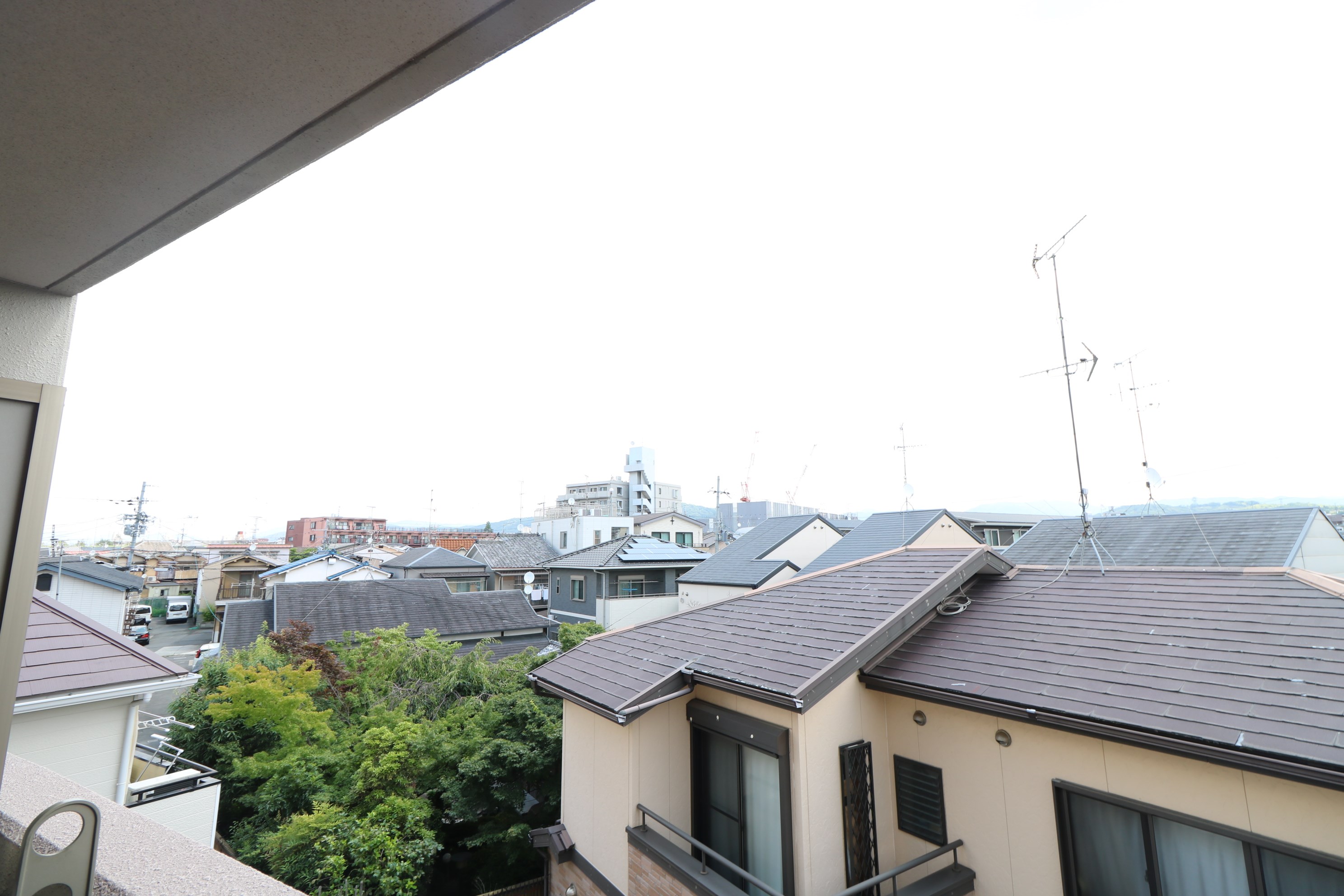 ピュア12 その他6