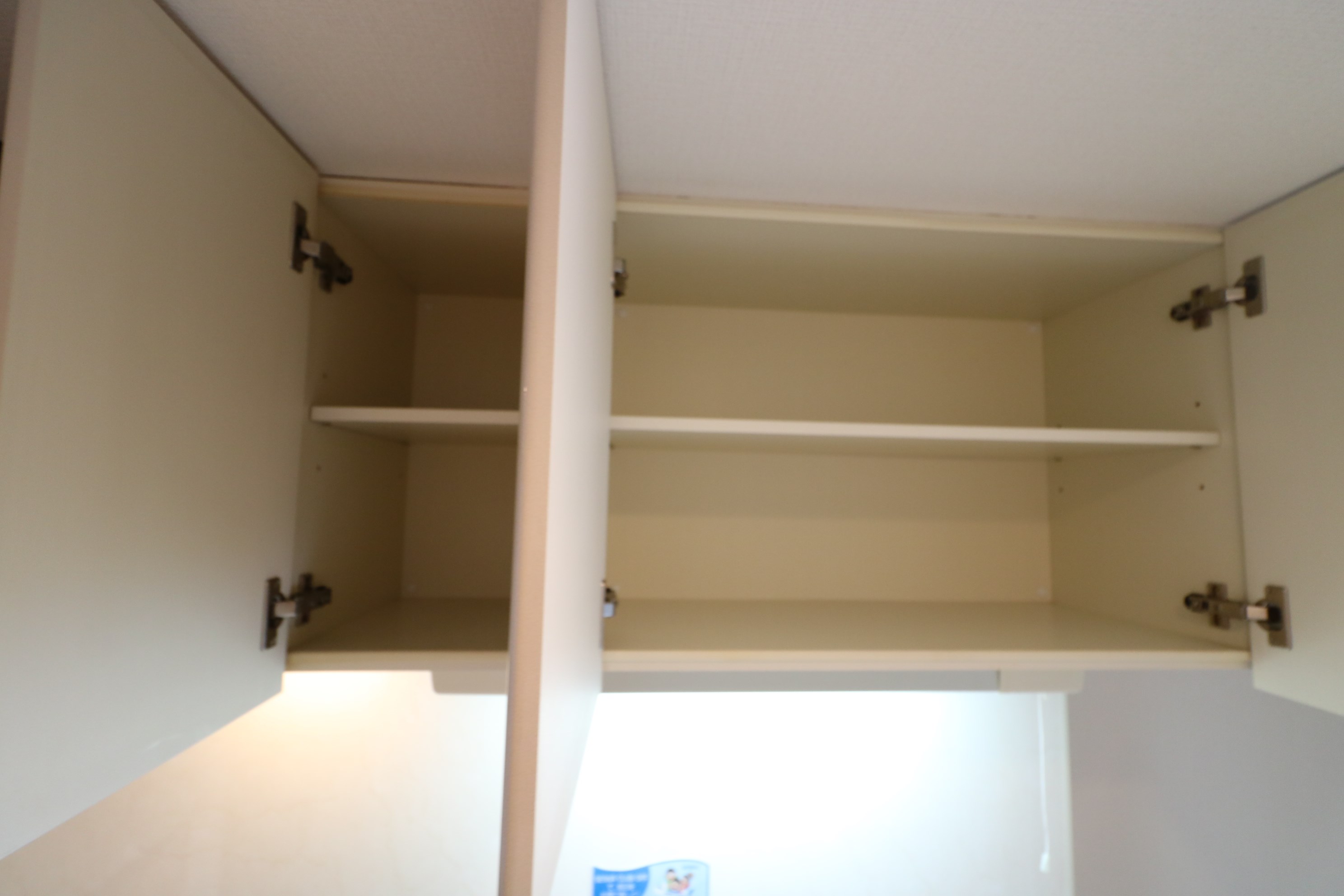 ピュア12 その他11