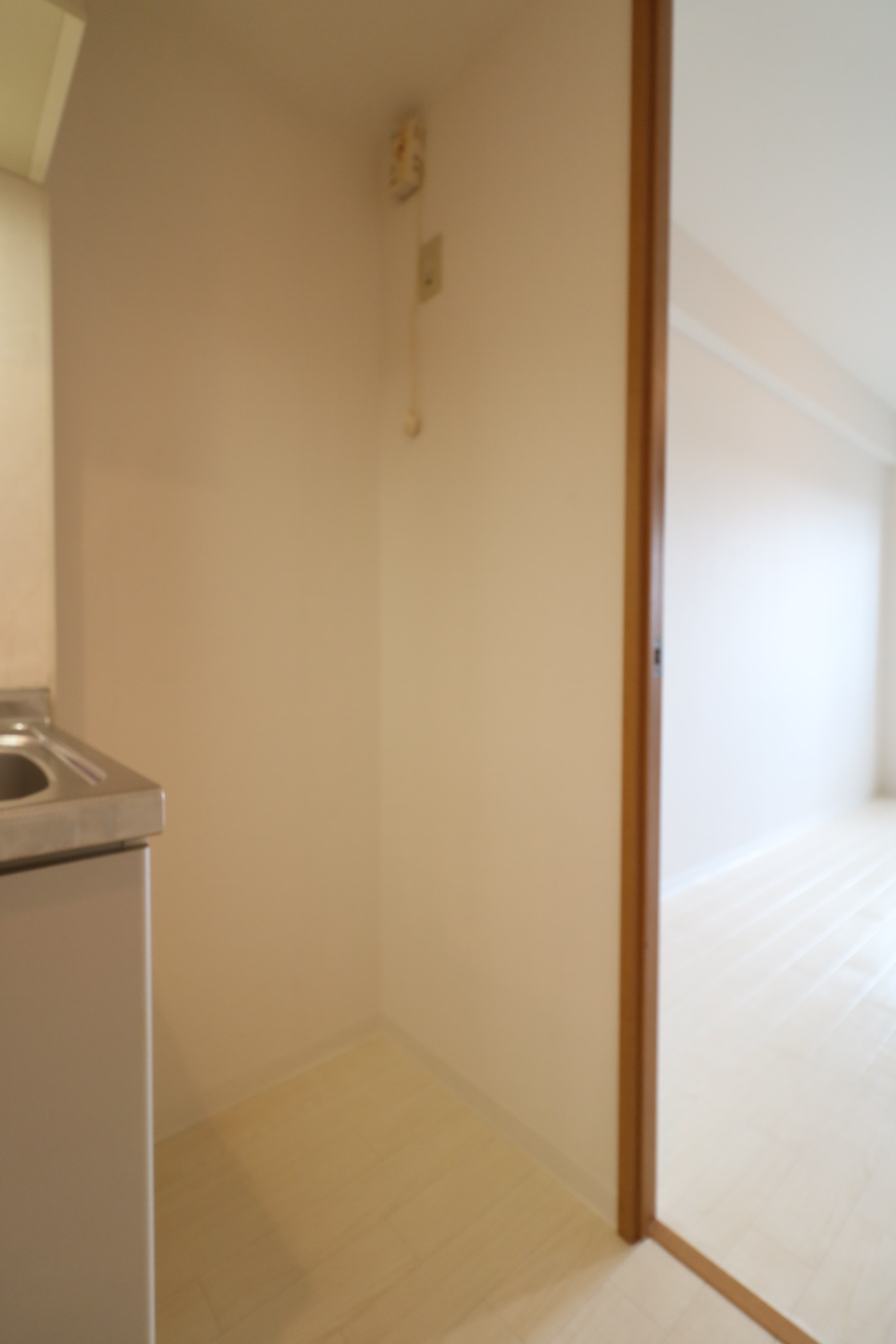 ピュア12 その他16