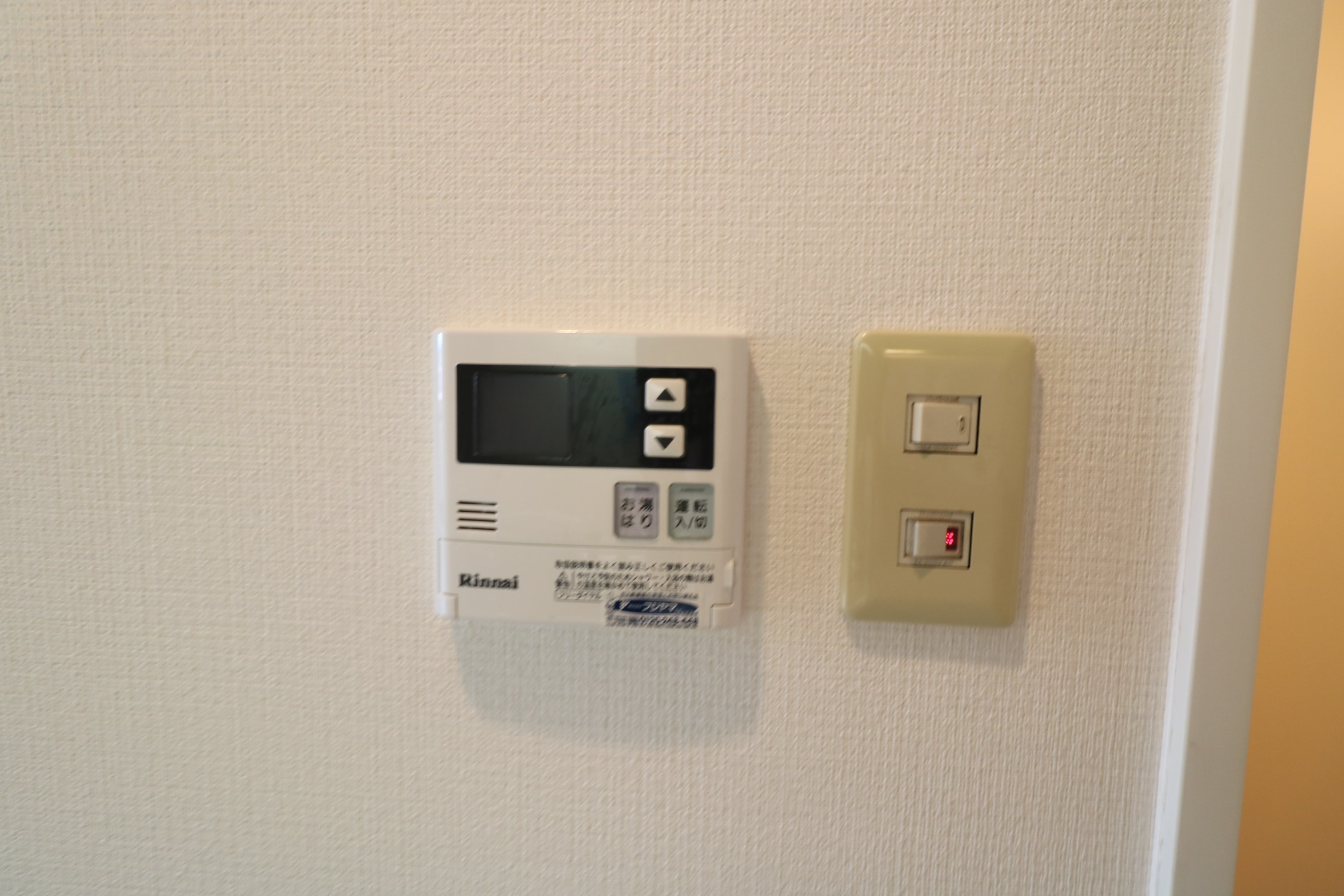 ピュア12 その他17