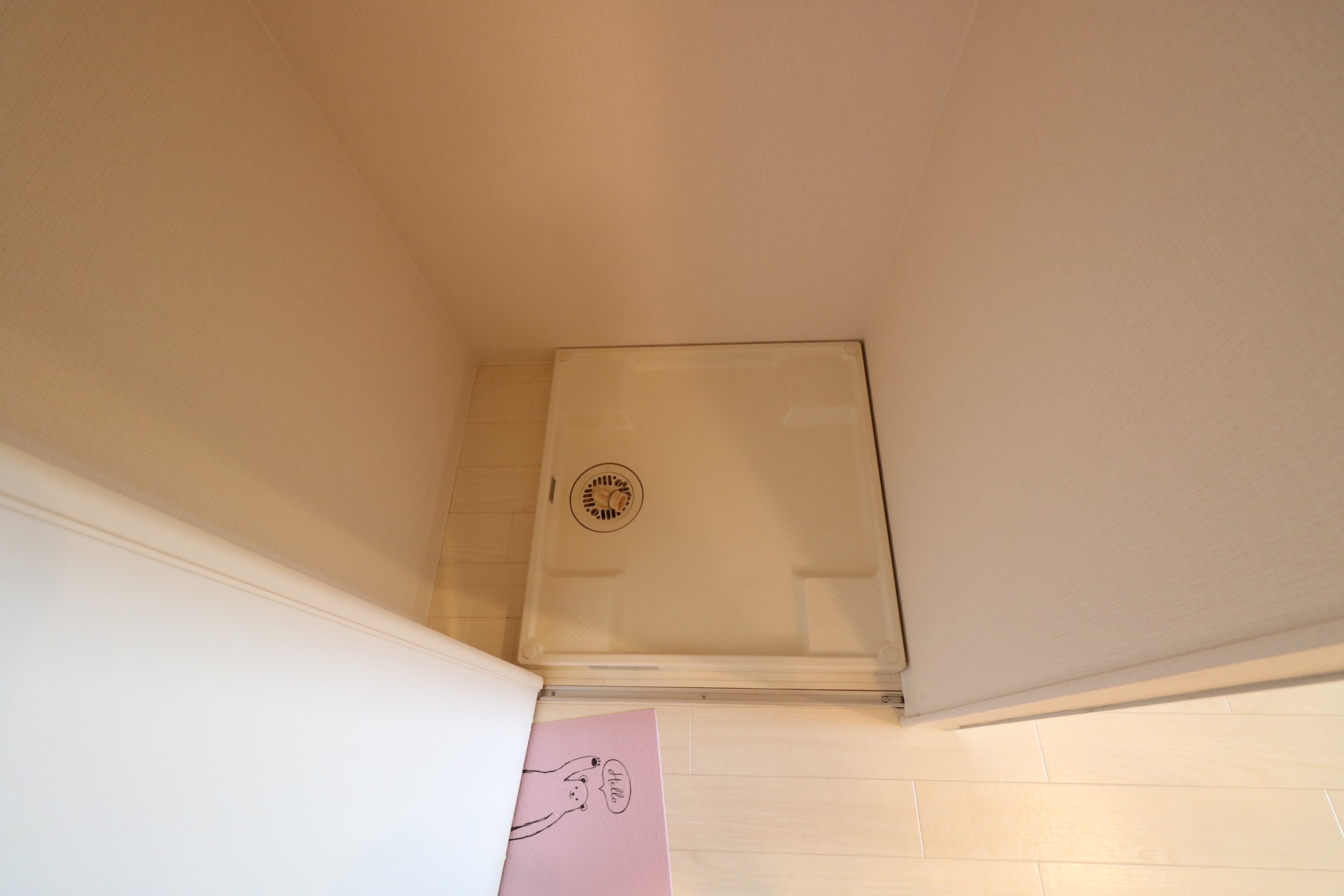 ピュア12 その他19