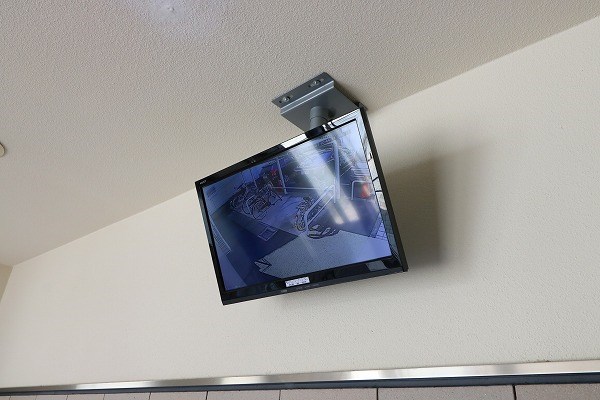 ピュア12 その他20