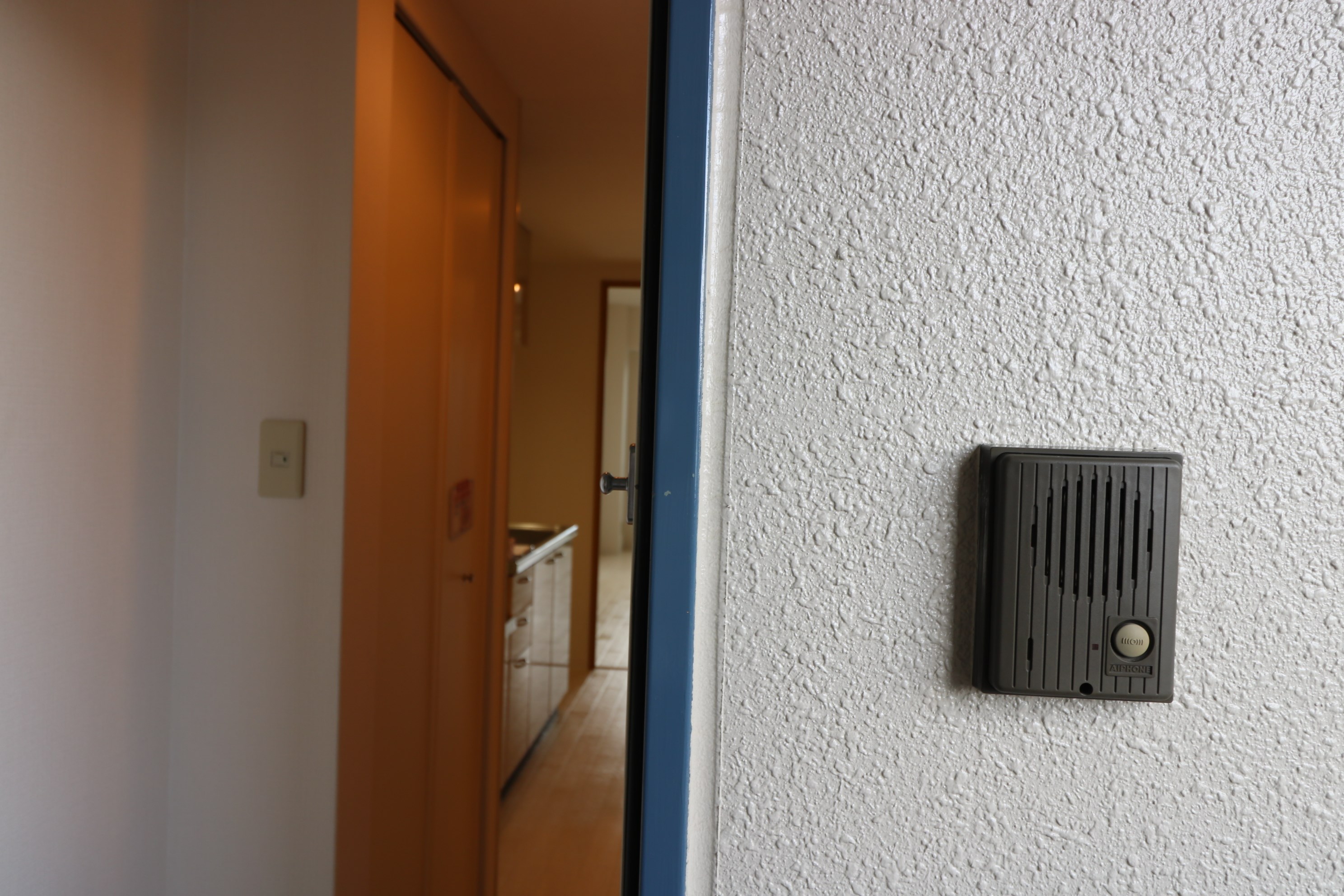 ピュア12 その他21