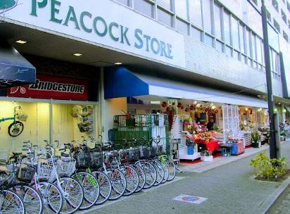 GARDEN COURT A 高島平 周辺画像6