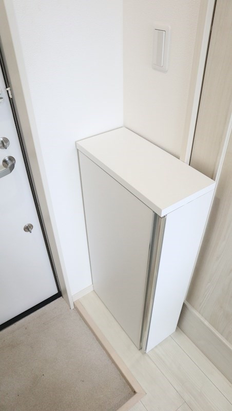 リージェンシー上板橋 玄関