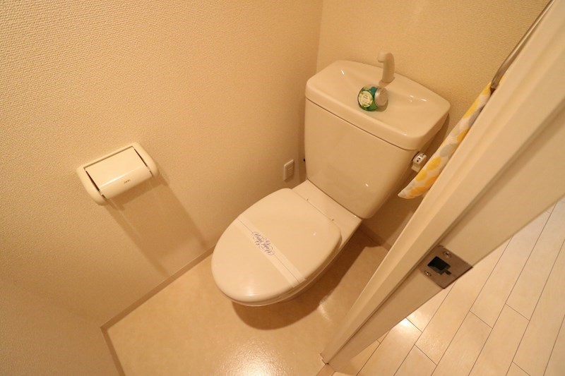 Spruce Tone mf その他3