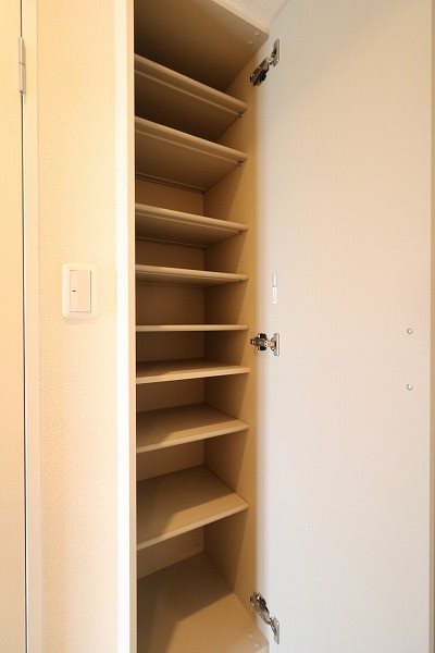 Spruce Tone mf その他6