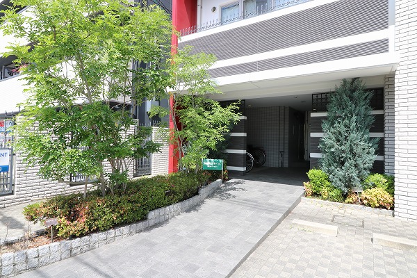 Spruce Tone mf その他外観1