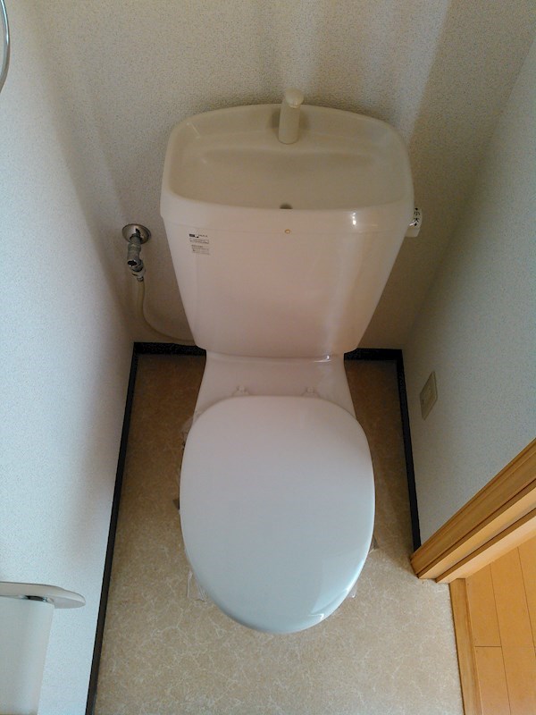 ポムダムール その他3