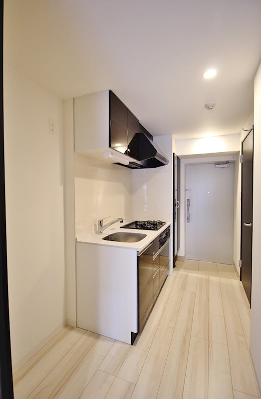 月島リバーサイドハイツ 玄関