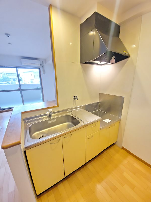 スプランドゥールヴィラ キッチン