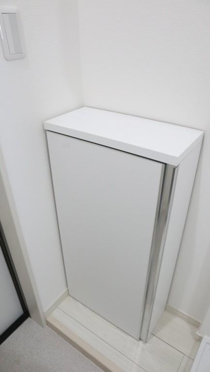 リージェンシー上板橋 玄関