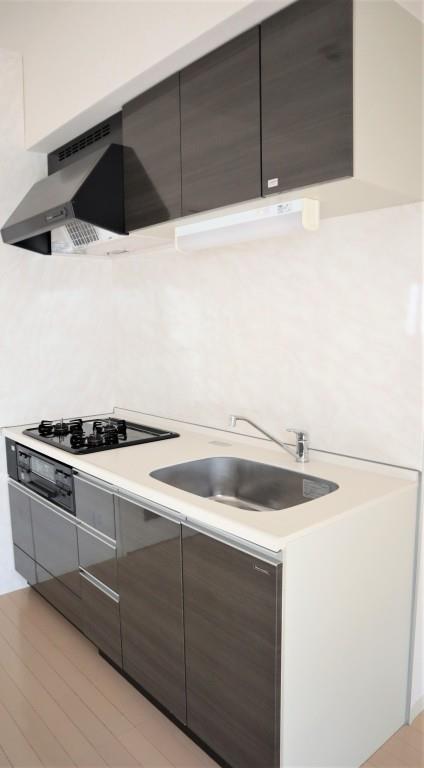 瑞穂フラッツ キッチン