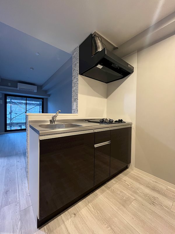 グランパシフィック花園innovation キッチン