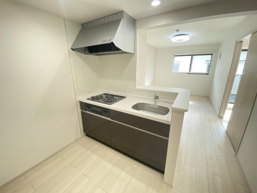 Loire FⅡ(ロアールエフツー) キッチン