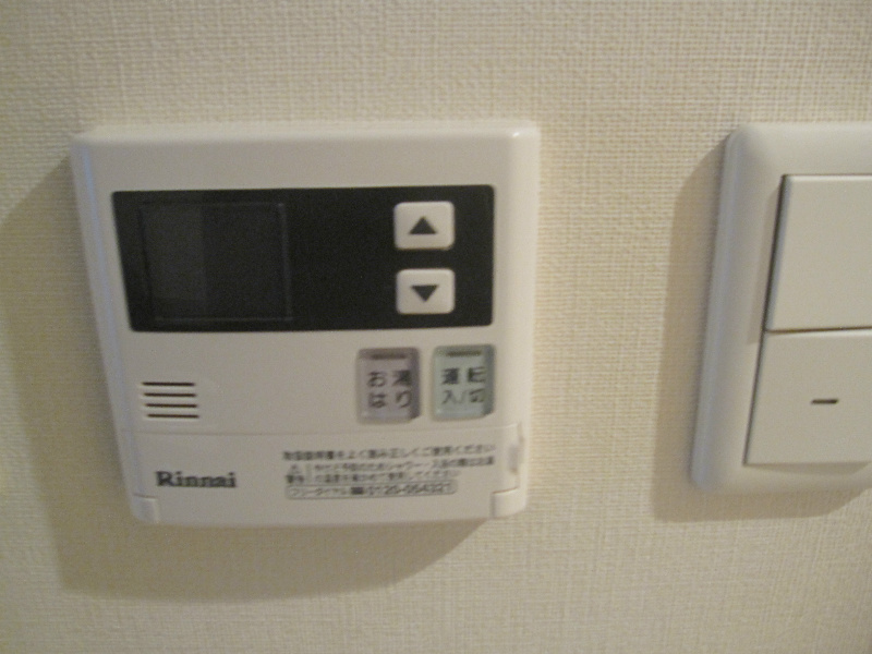 グレースランド その他5