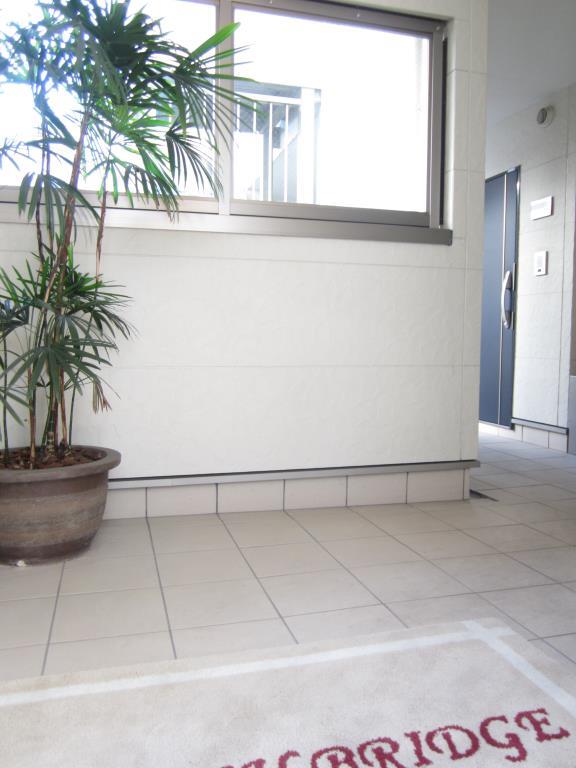 ネオハイブリッジ その他20