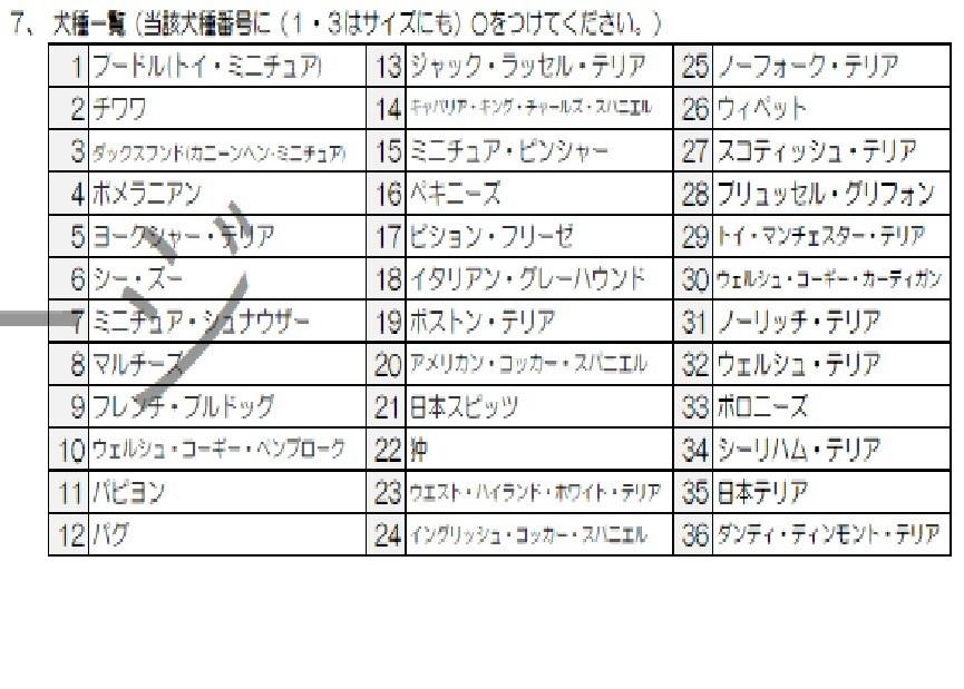 ﾒｿﾞﾝﾊｲﾑ その他20