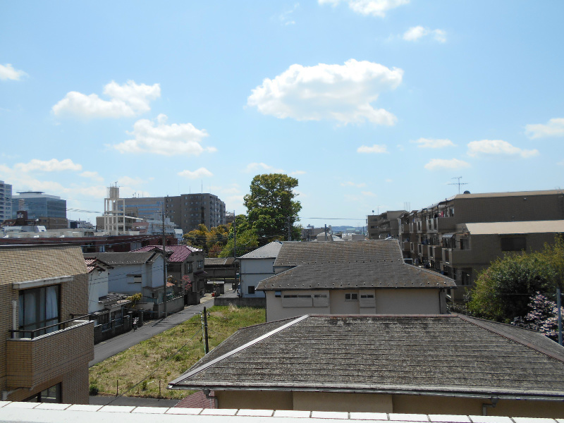 ルピナス その他4