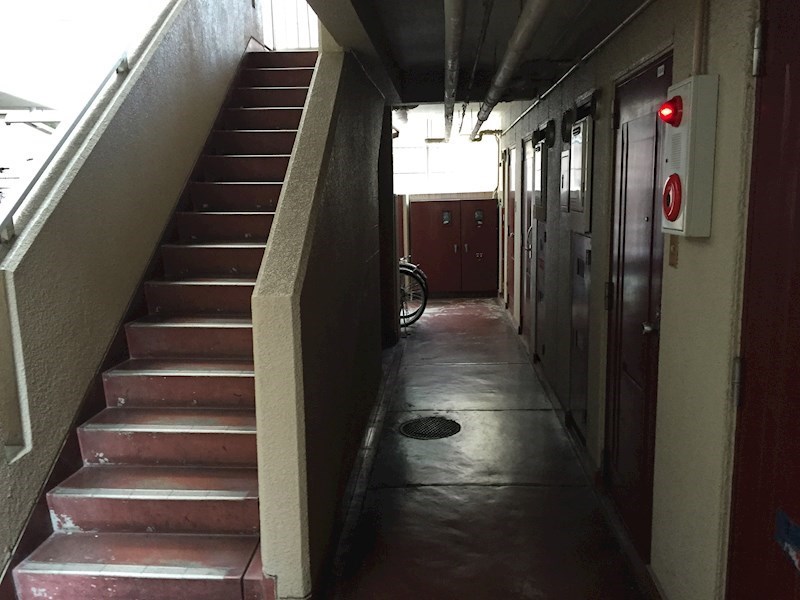 セイワパレス福島 その他外観3