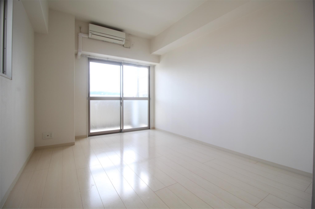 ドルフシィア その他11