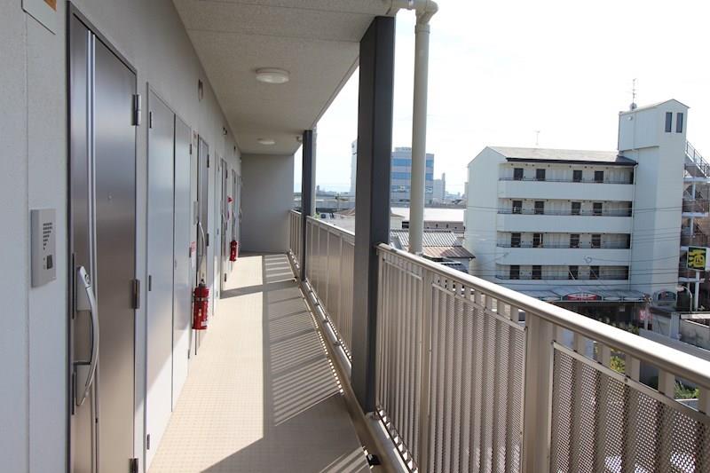 ドルフシィア その他18